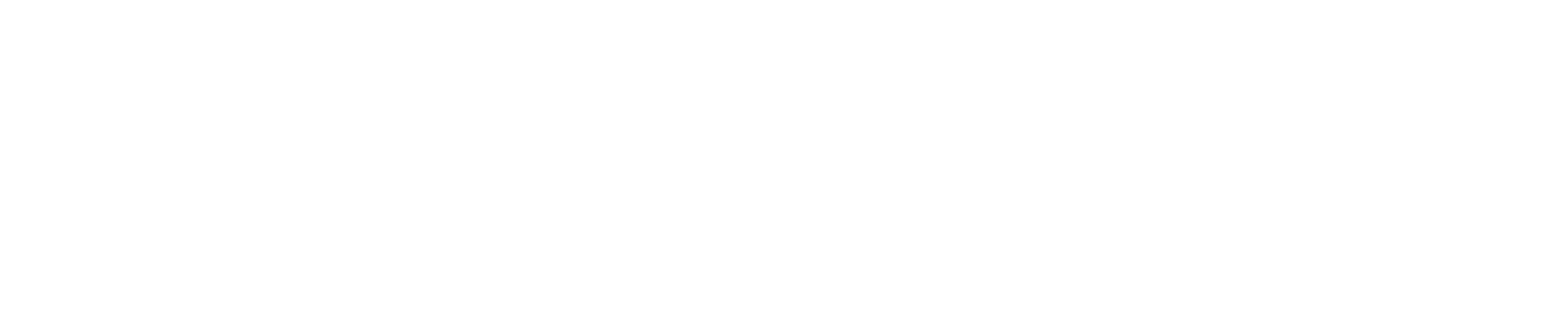 Hartlepool Burough Council